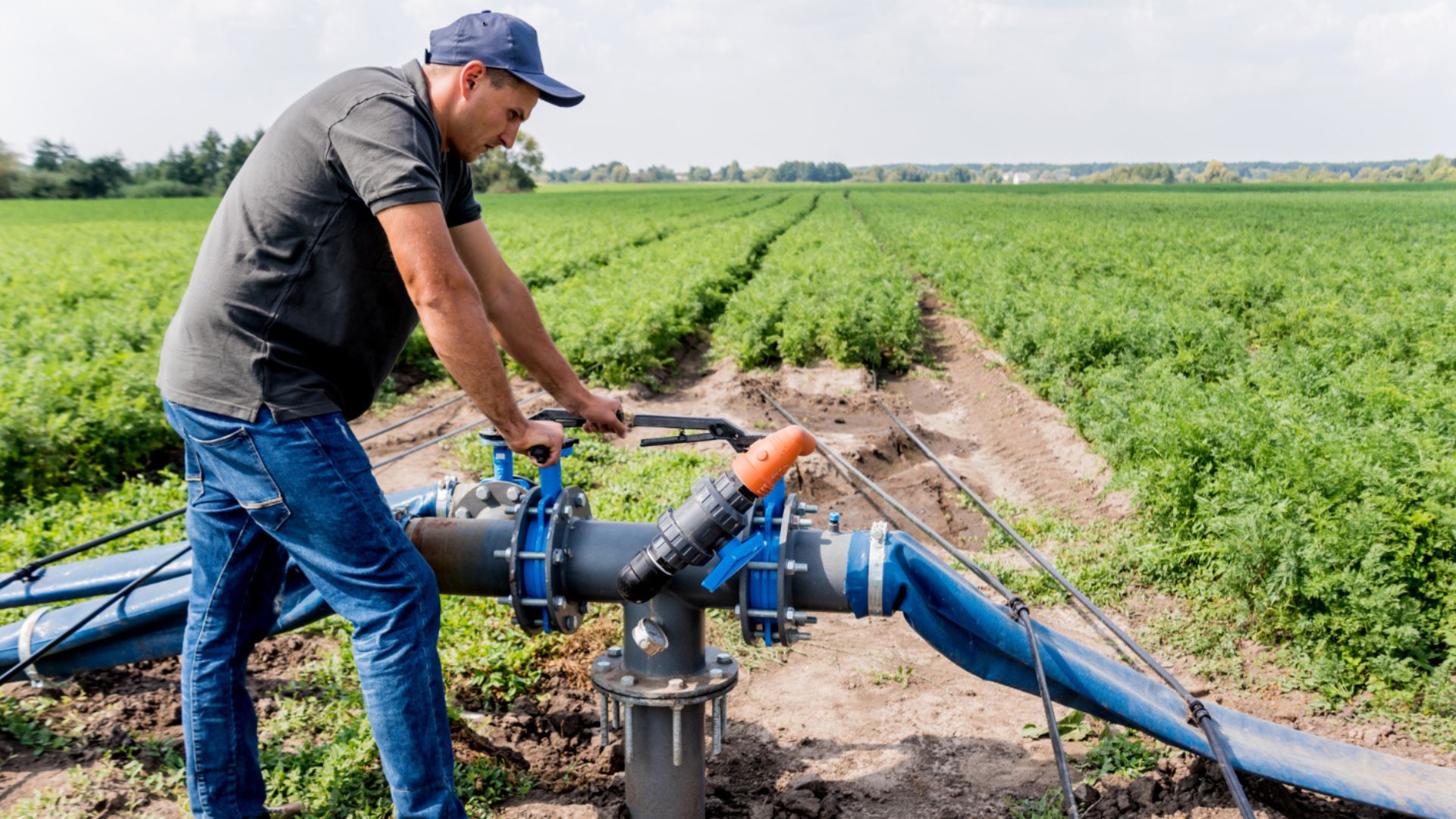 Superior Irrigation Design & Services revolves around more than just delivering exceptional irrigation solutions