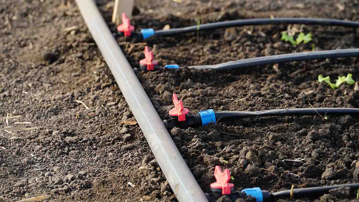 Services of Drip irrigation